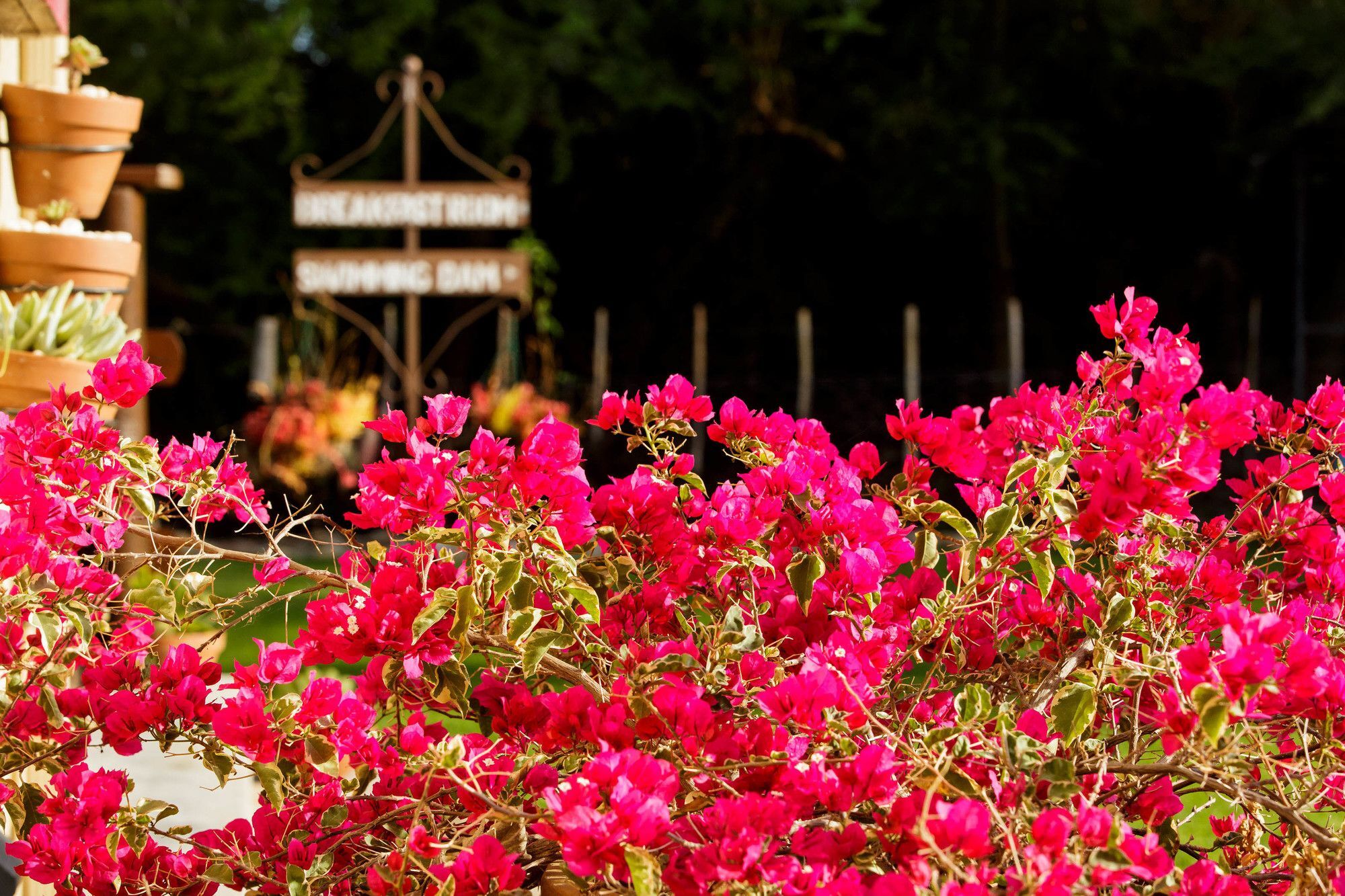 Die Fonteine Country Guesthouse And Glamping Оудсхорн Экстерьер фото